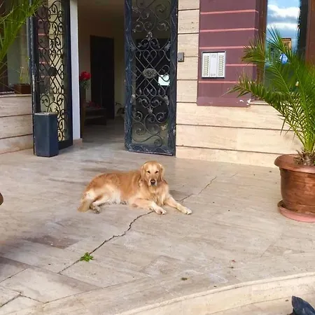 велека бийч * シネモレツ