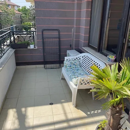 велека бийч シネモレツ