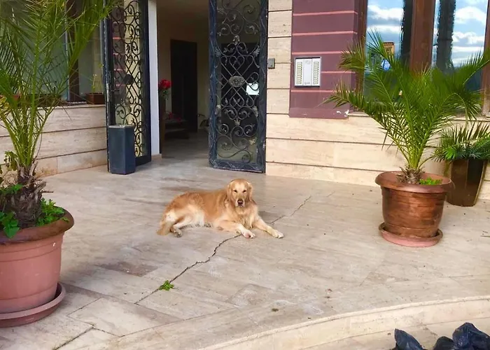 велека бийч * Синеморец