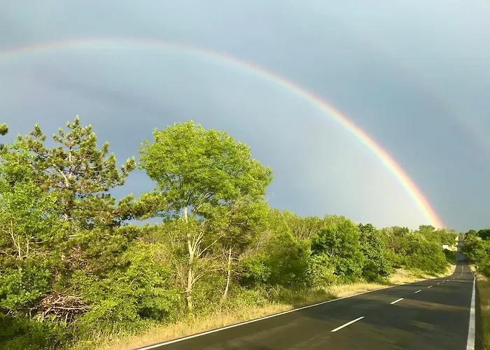 велека бийч * Sinemoretz